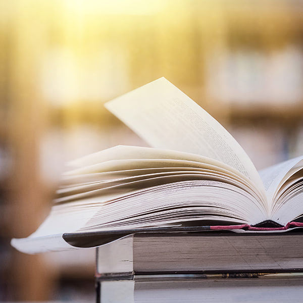 日本生命保険相互会社//新卒・キャリア採用サイト