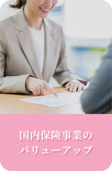 国内保険事業のバリューアップ