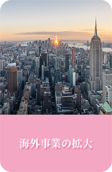 海外事業の拡大